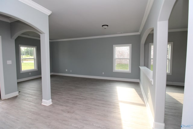 spare room featuring crown molding, plenty of natural light, and light wood-type flooring