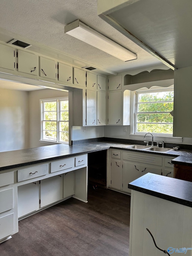 kitchen with a textured ceiling, a healthy amount of sunlight, sink, and dark wood-type flooring