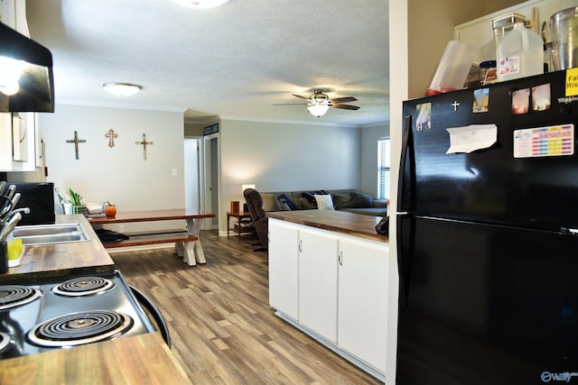 kitchen featuring light wood finished floors, freestanding refrigerator, ceiling fan, a sink, and crown molding