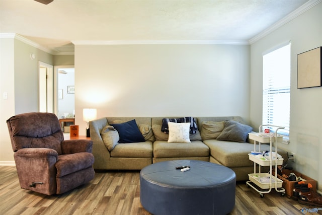living area with wood finished floors, baseboards, and ornamental molding