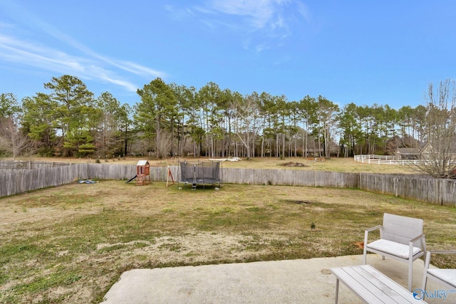 view of yard with a trampoline and a playground