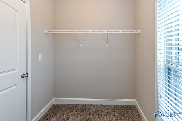 9 Leyland Dr SW, Huntsville, AL 35824 - spacious closet featuring carpet floors
