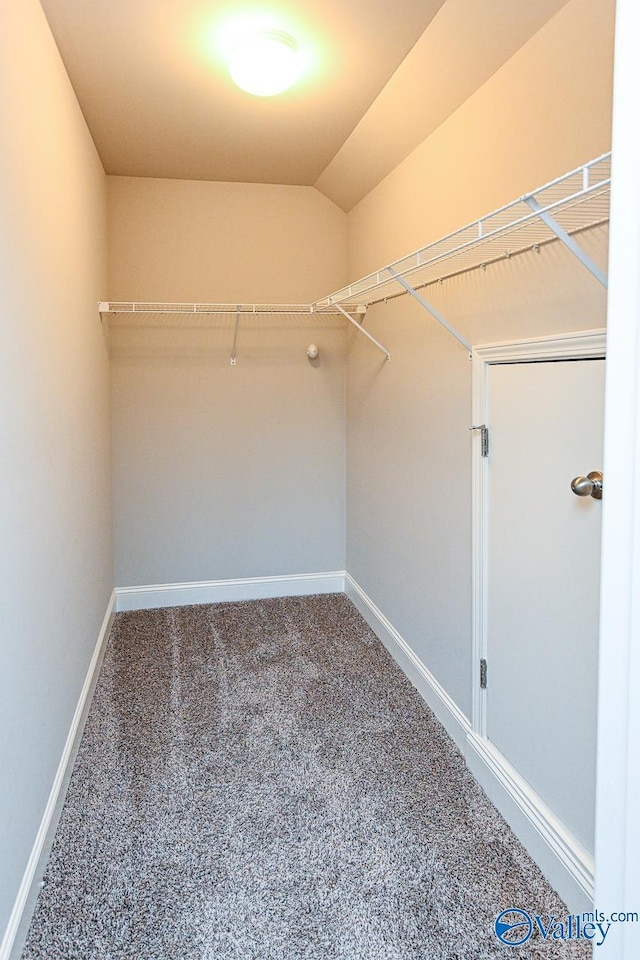 9 Leyland Dr SW, Huntsville, AL 35824 - walk in closet featuring carpet floors and lofted ceiling