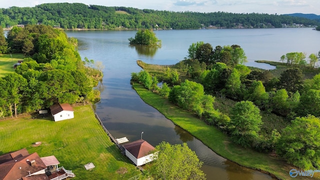 aerial view with a water view and a forest view