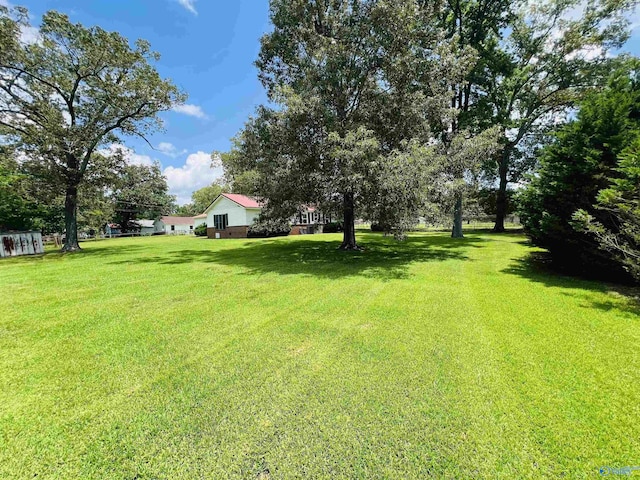 1315 Colbert Ave, Gadsden, AL 35904 - view of grassy yard