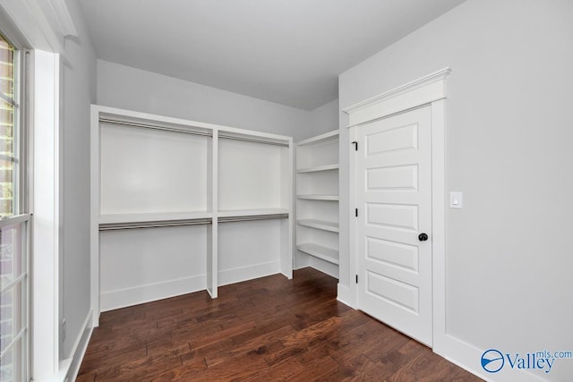 spacious closet featuring dark wood finished floors