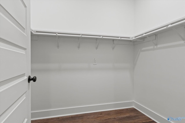 spacious closet featuring dark hardwood / wood-style floors