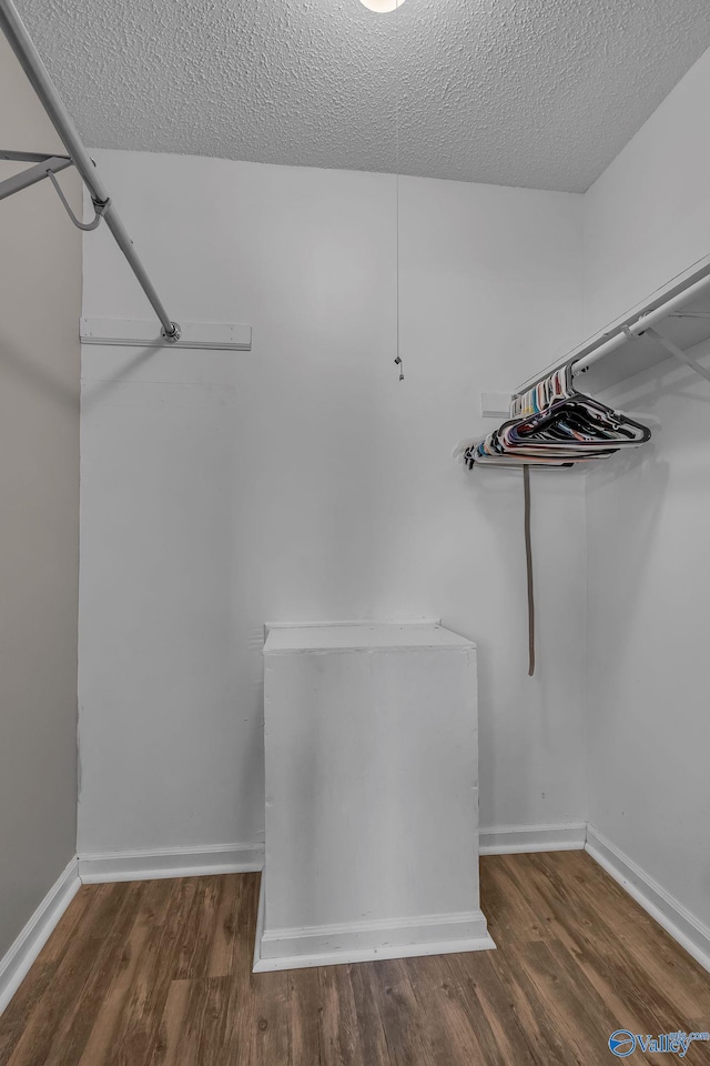 walk in closet featuring dark hardwood / wood-style floors