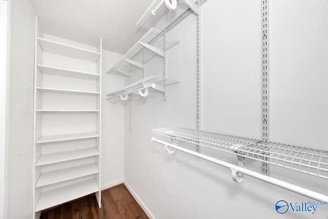 walk in closet featuring dark wood-style flooring
