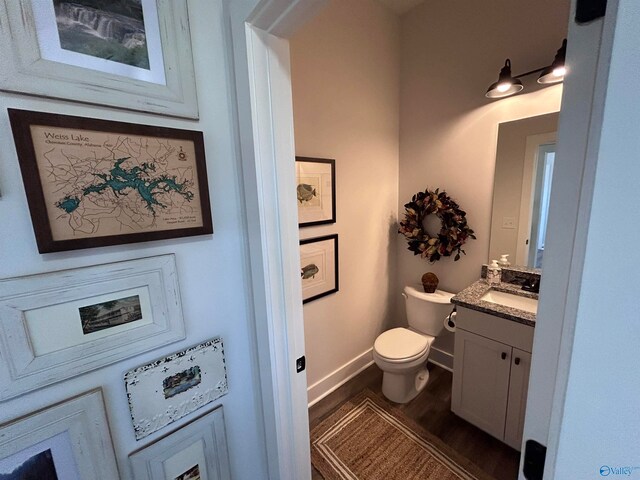 bathroom with vanity, wood-type flooring, and toilet