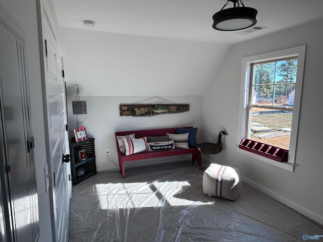 living area featuring vaulted ceiling