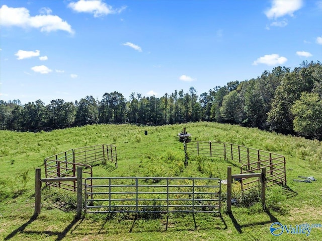 2403 Hog Jaw Rd, Arab, AL 35016 - view of yard with fence, a rural view, and a gate