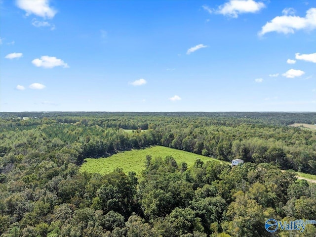 2403 Hog Jaw Rd, Arab, AL 35016 - bird's eye view with a view of trees