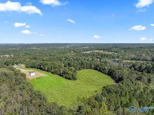 2403 Hog Jaw Rd, Arab, AL 35016 - birds eye view of property with a wooded view
