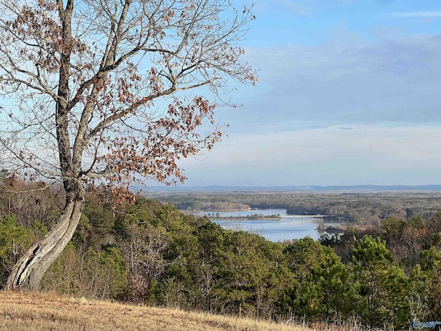 LOT56 County Road 767, Cedar Bluff AL, 35959 land for sale