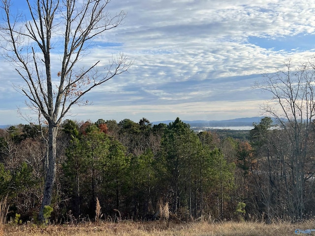 Listing photo 2 for LOT56 County Road 767, Cedar Bluff AL 35959