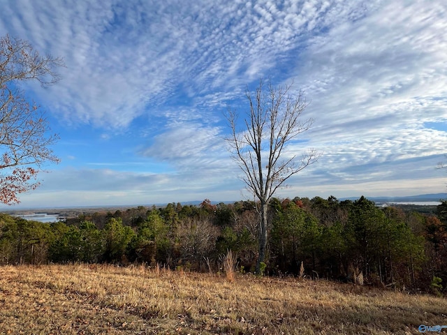 Listing photo 3 for LOT56 County Road 767, Cedar Bluff AL 35959