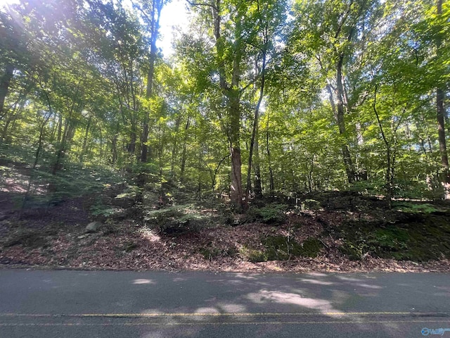 LOT91AND92 Wyeth Dr, Guntersville AL, 35976 land for sale