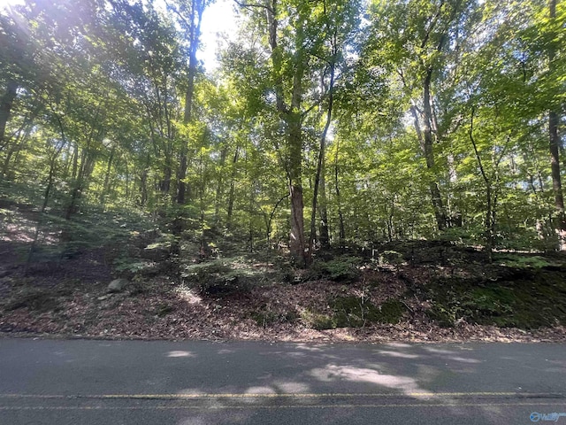 LOT91AND92 Wyeth Dr, Guntersville AL, 35976 land for sale