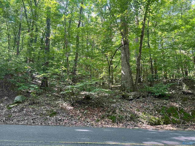 Listing photo 2 for LOT91AND92 Wyeth Dr, Guntersville AL 35976