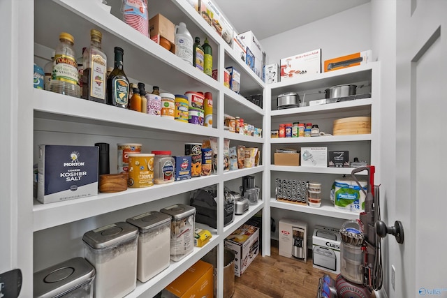 106 Timber Springs Ct, Madison, AL 35756 - view of pantry