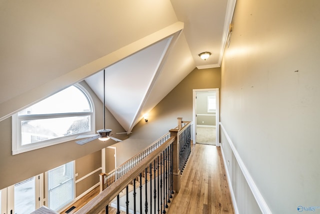 corridor featuring hardwood / wood-style floors and vaulted ceiling