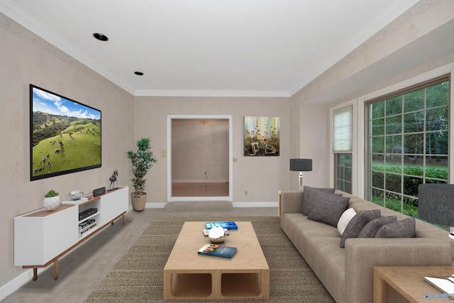 carpeted living room featuring crown molding