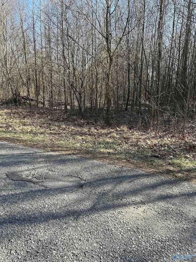 Listing photo 2 for 1ACRE Willis Rd, Union Grove AL 35175