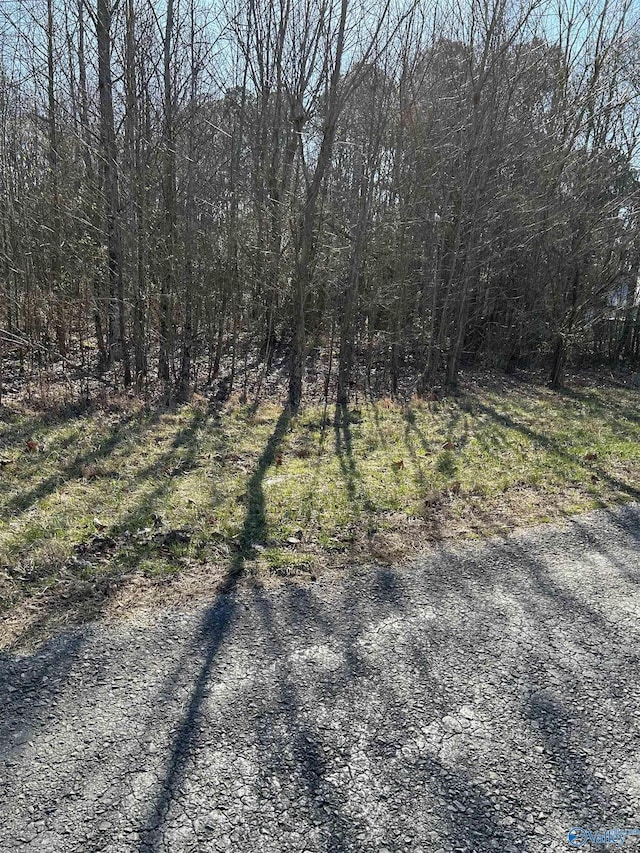 Listing photo 3 for 1ACRE Willis Rd, Union Grove AL 35175