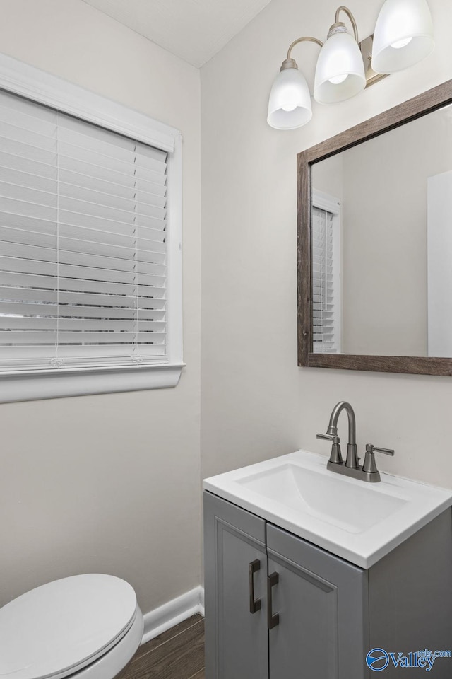 bathroom featuring vanity, toilet, and wood-type flooring