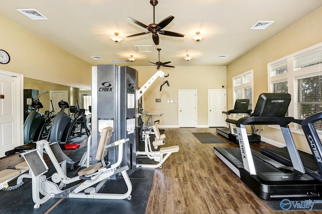 workout area featuring ceiling fan and dark hardwood / wood-style flooring