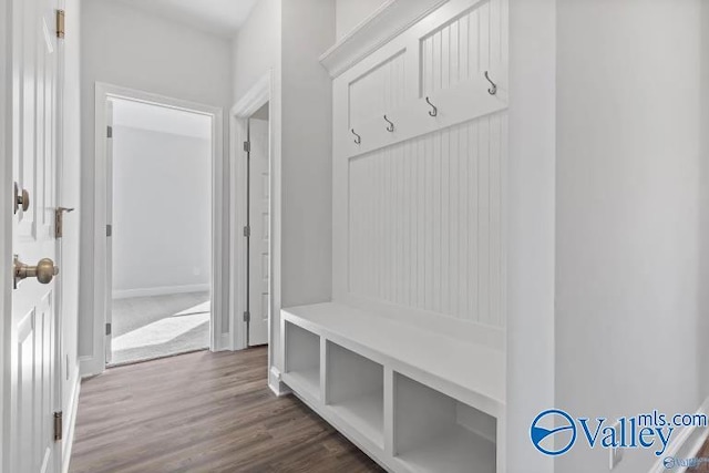 mudroom with dark wood-type flooring