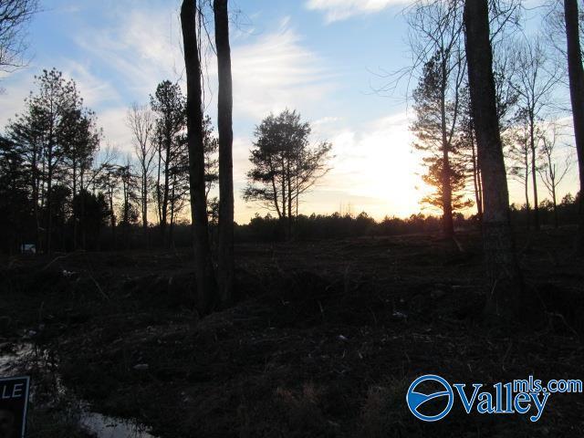 15 Martling Rd, Albertville AL, 35951 land for sale