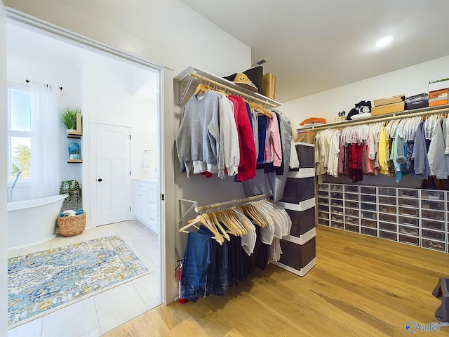 spacious closet with hardwood / wood-style floors