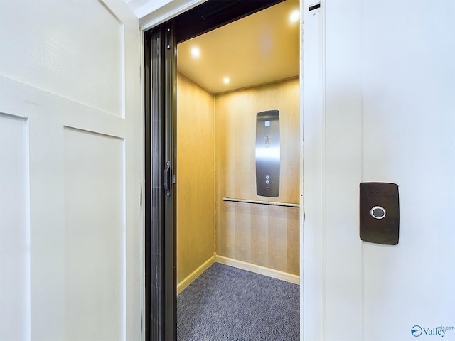 room details with carpet floors, elevator, and wooden walls