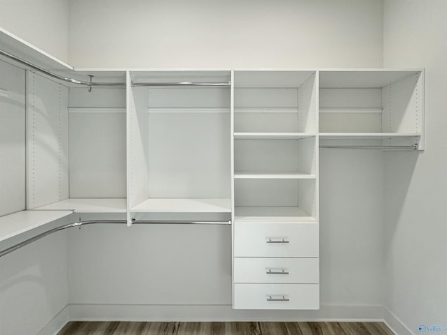 walk in closet with dark hardwood / wood-style flooring