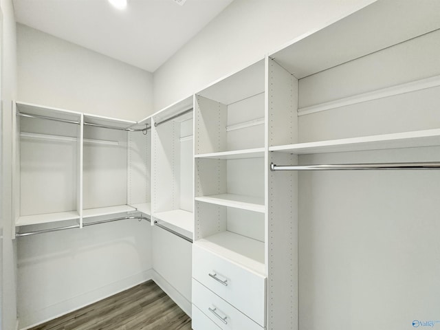 walk in closet featuring dark wood-type flooring