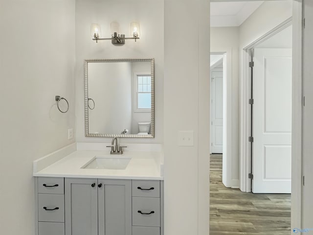 bathroom featuring vanity, hardwood / wood-style flooring, and toilet