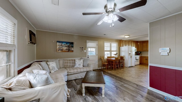 living room featuring ceiling fan, light wood-type flooring, and crown molding