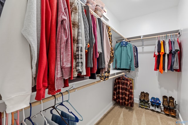 24009 Quints Dr, Athens, AL 35613 - spacious closet with carpet floors