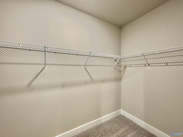 spacious closet with carpet floors