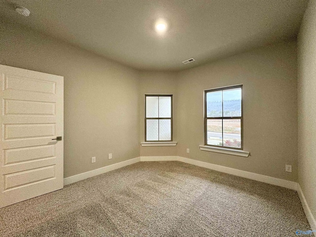 view of carpeted spare room