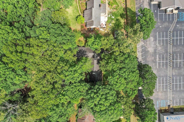 105 Hastings Rd, Athens, AL 35613 - bird's eye view
