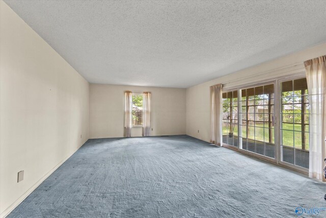105 Hastings Rd, Athens, AL 35613 - unfurnished room with plenty of natural light, a textured ceiling, and carpet