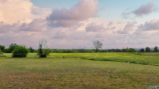 view of nature with a rural view