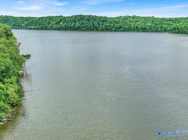 water view featuring a forest view