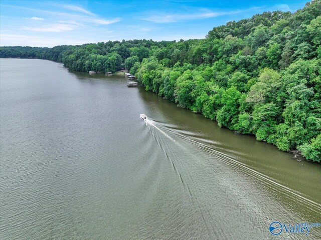 aerial view with a view of trees and a water view