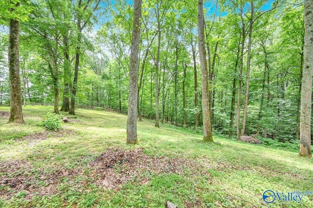 view of yard featuring a forest view