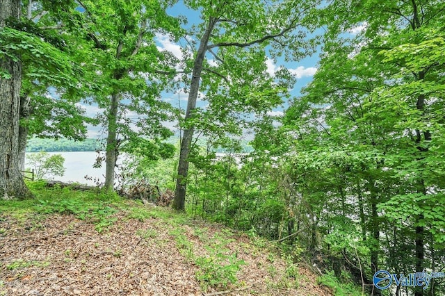 view of local wilderness with a water view