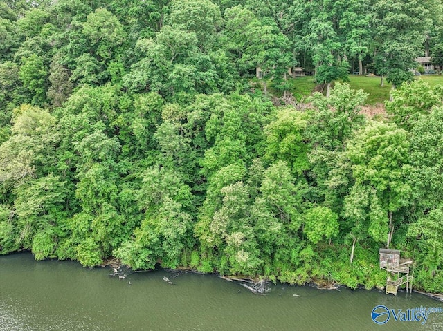 bird's eye view with a water view and a wooded view